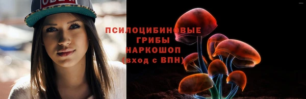 прущие грибы Алексеевка